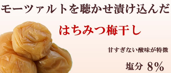 お歳暮・お中元に紀州南高梅の高級梅干しを深見梅店より